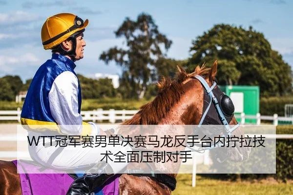 WTT冠军赛男单决赛马龙反手台内拧拉技术全面压制对手